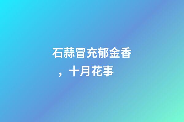 石蒜冒充郁金香，十月花事